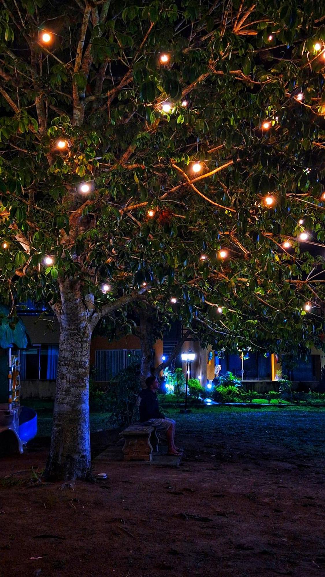 Winterville Flat 213 Gravata  Exterior photo